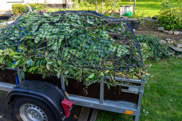 Best Hoarding Cleanup  in Junction City, KS